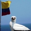 sula_patriotico