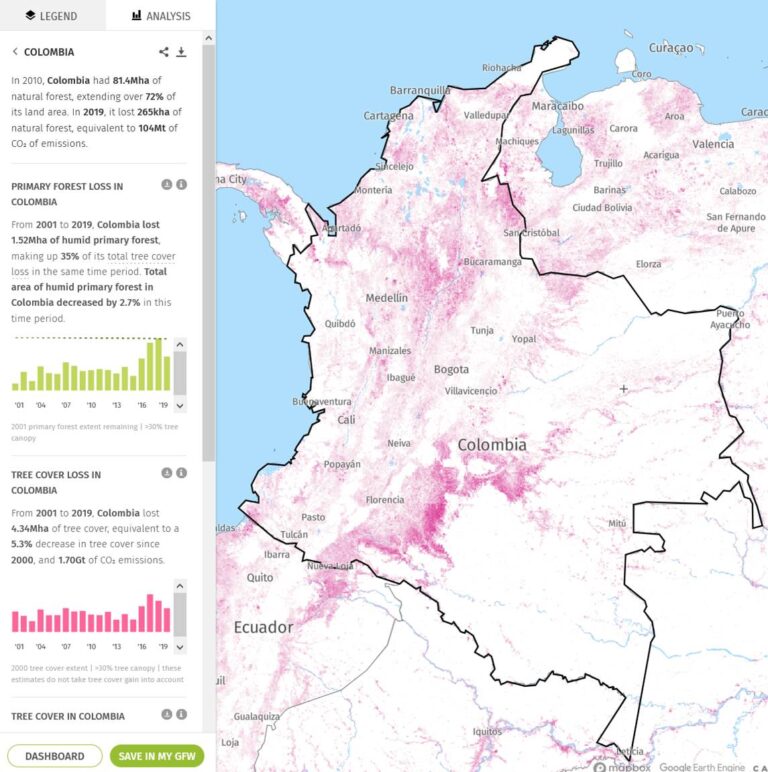 De 2001 a 2019, Colombia perdió el 5.3 por ciento de la selva tropical original. Las áreas cortadas aparecen en rojo. © Global Forest Watch