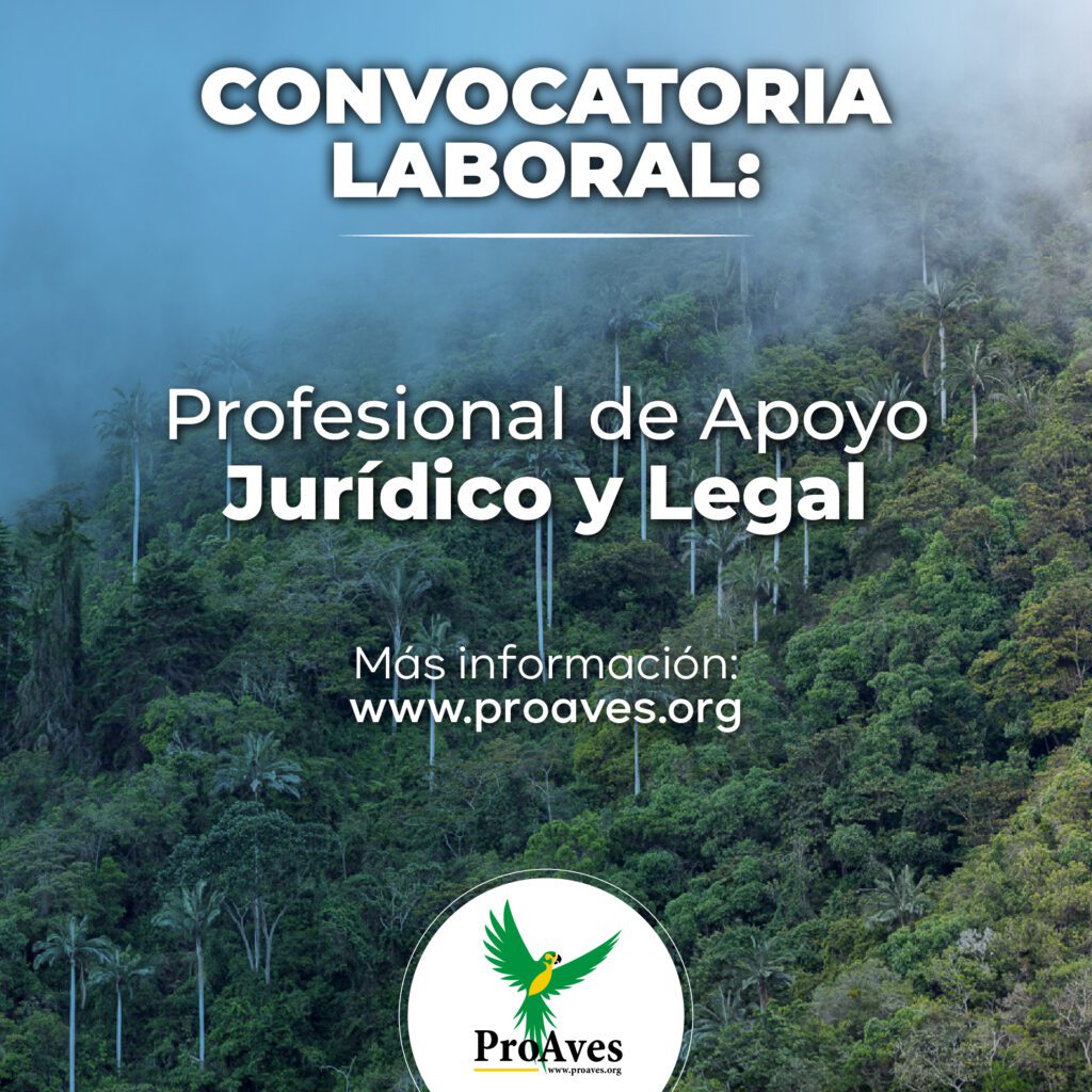 Profesional de Apoyo Jurídico y Legal