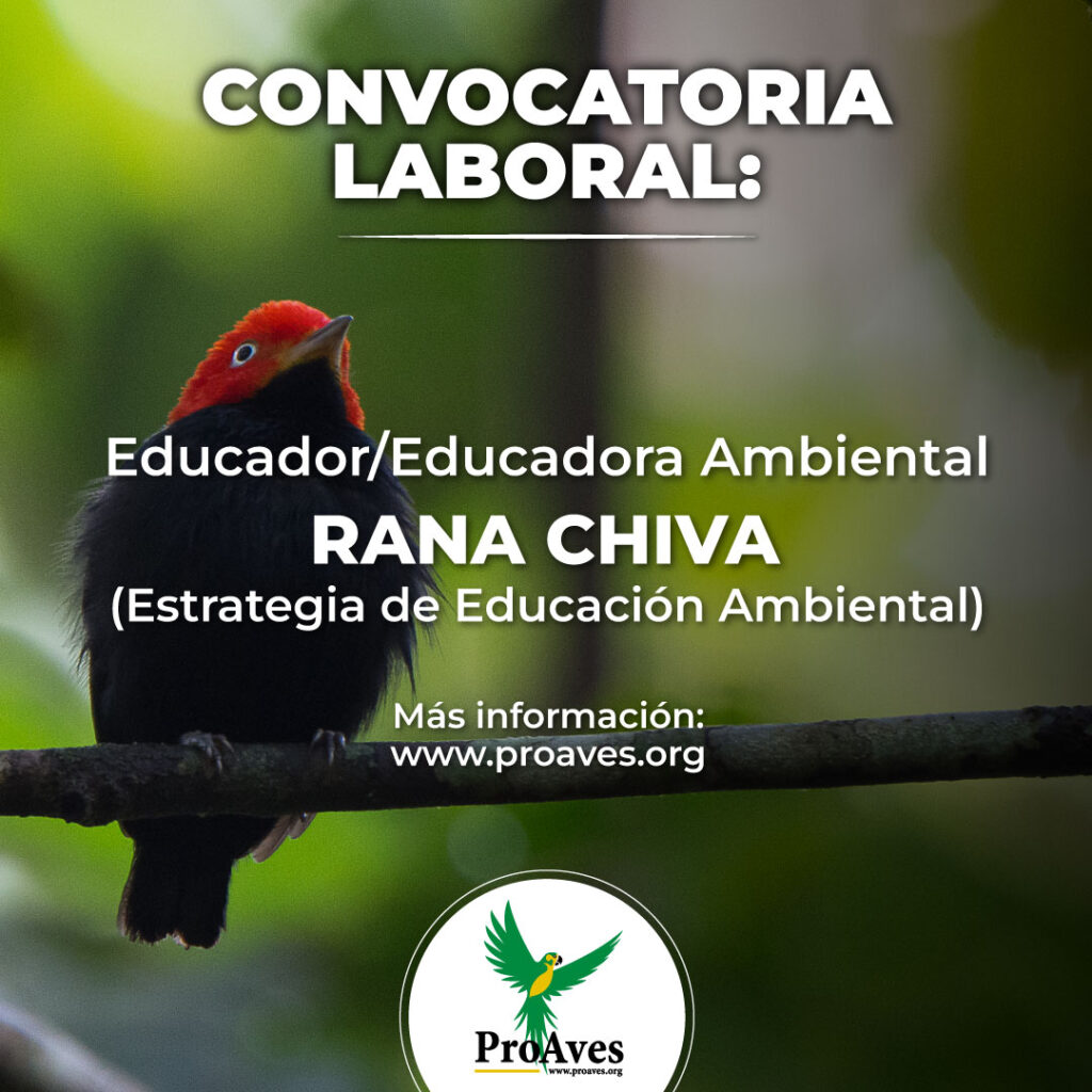 Convocatoria laboral: Educador/ Educadora Ambiental RanaChiva