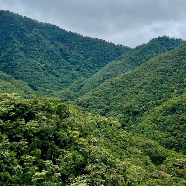 Es declarada nueva Área Protegida para conservar el hotspot de biodiversidad del Chocó