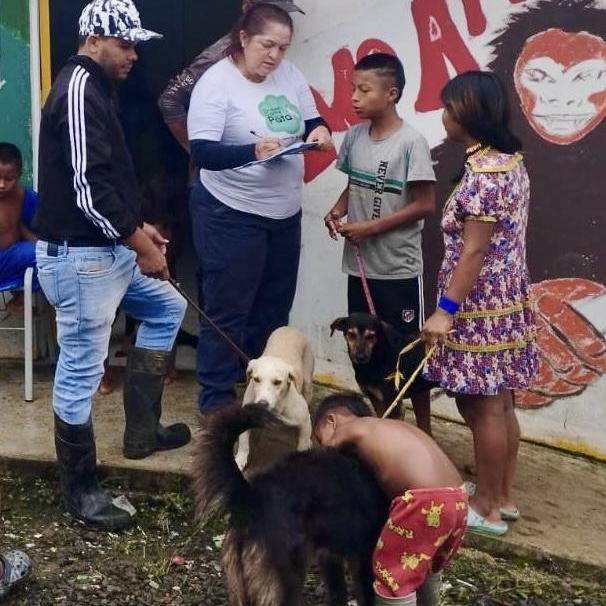 Esterilización de mascotas como herramienta de Conservación en la comunidad Indígena Eborro en El Carmen de Atrato, Chocó.