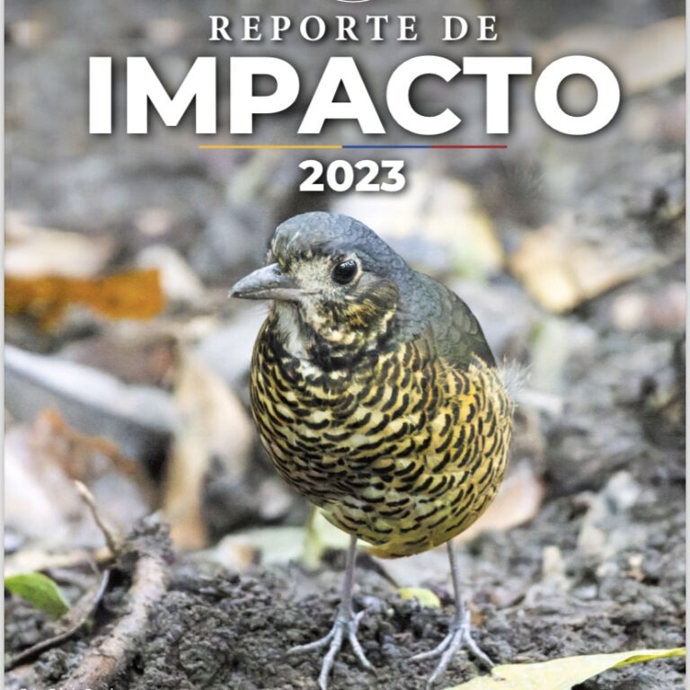 Informe de impacto 2023: Un año de grandes logros para la conservación