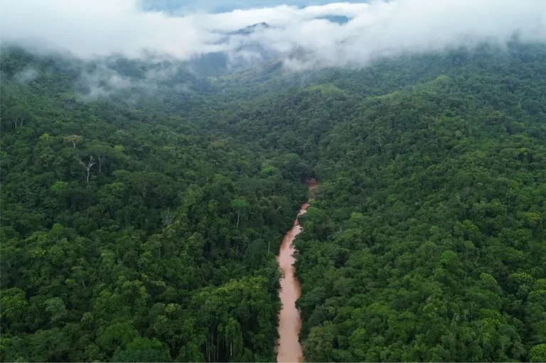 Reserva ProAves El Paujil