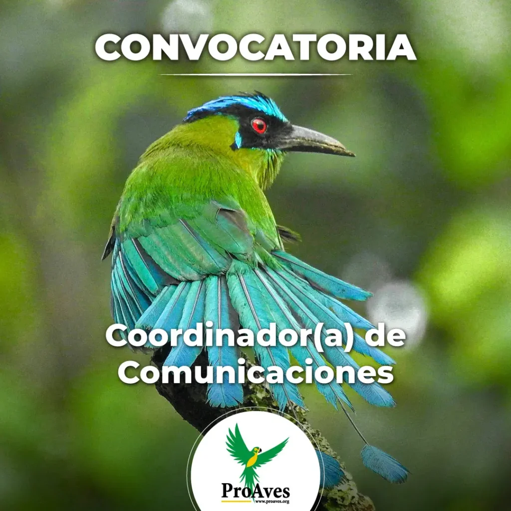 Convocatoria Laboral Coordinador(a) de Comunicaciones