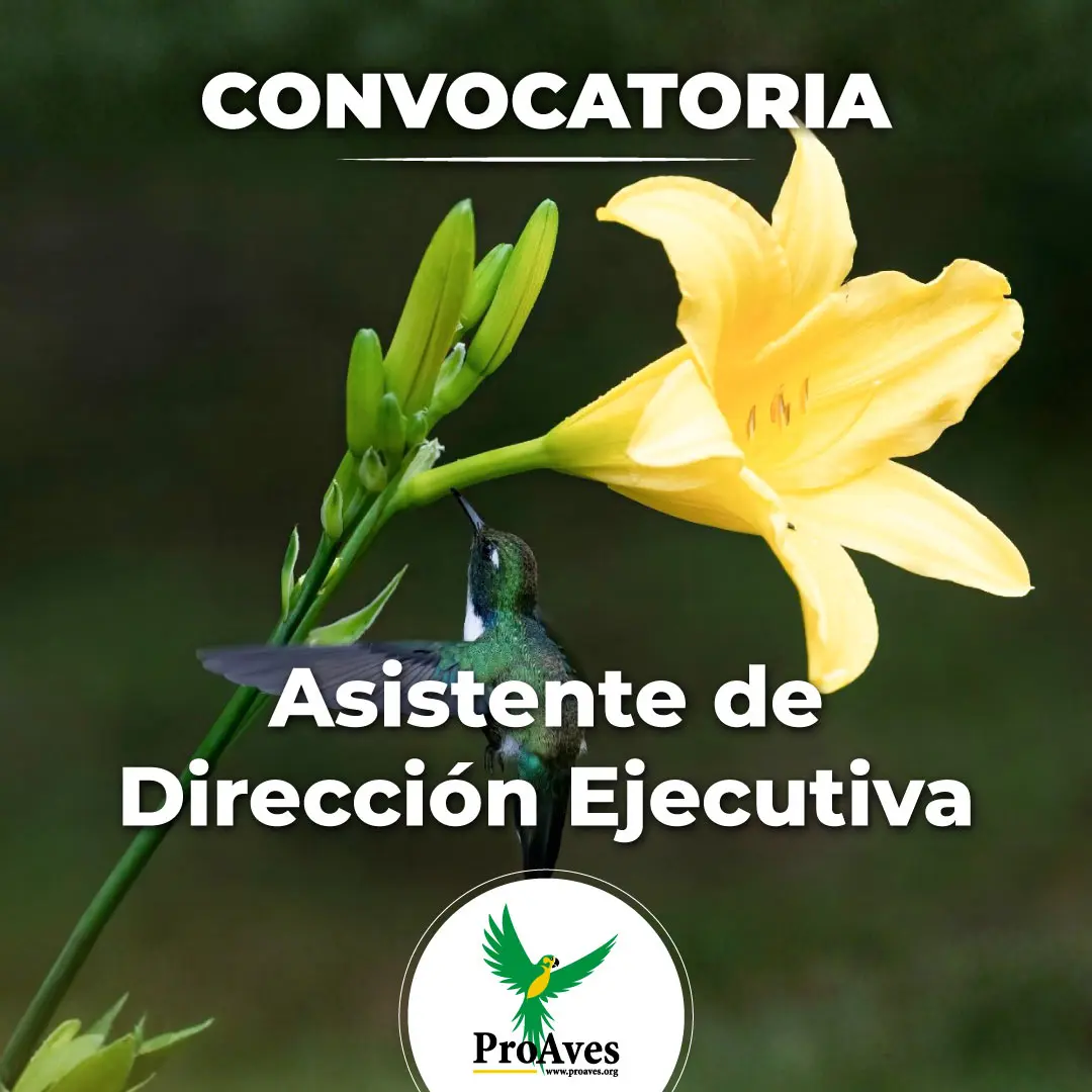 Asistente de Dirección Ejecutiva - Bilingüe - Fundación ProAves - por ...