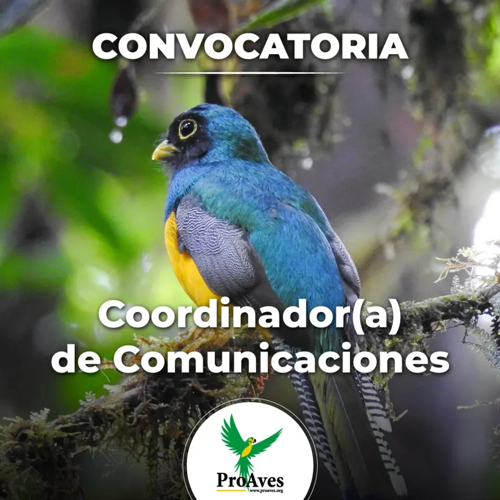 Convocatoria Laboral Coordinador(a) de Comunicaciones