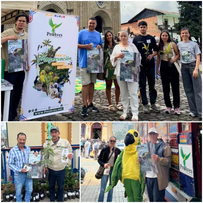 Reconcíliate con la Naturaleza: un llamado a proteger el hogar del Loro Orejiamarillo