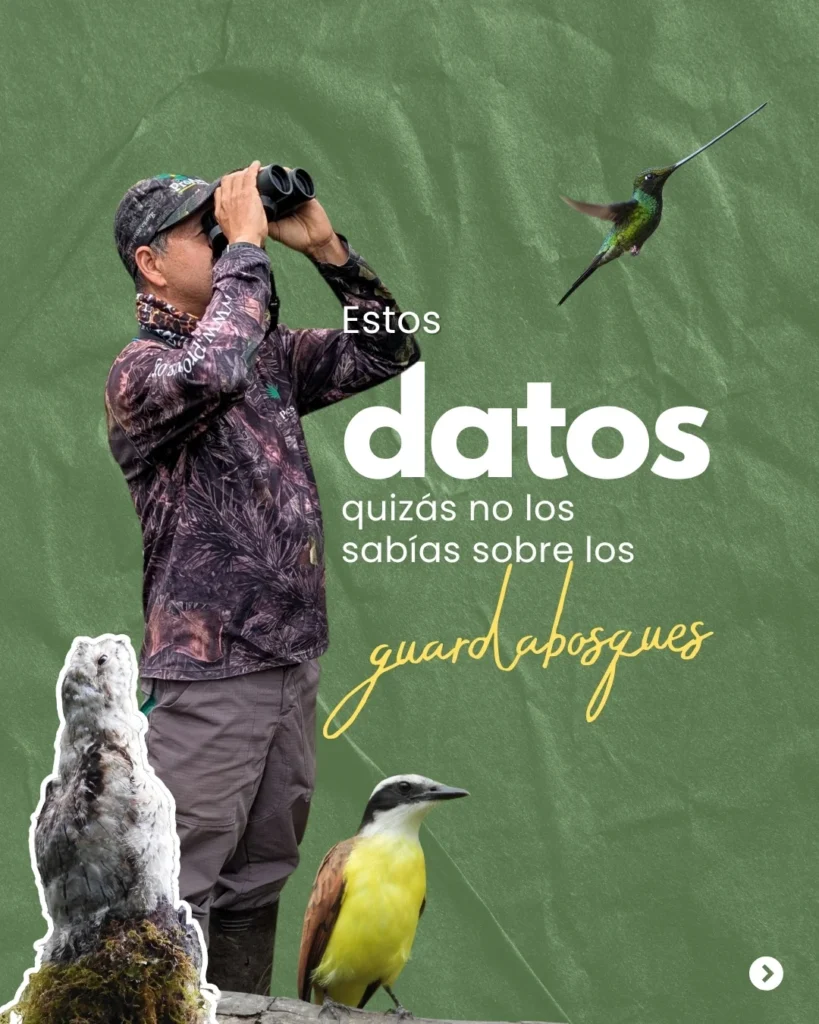 Datos que quizás no sabías (1)