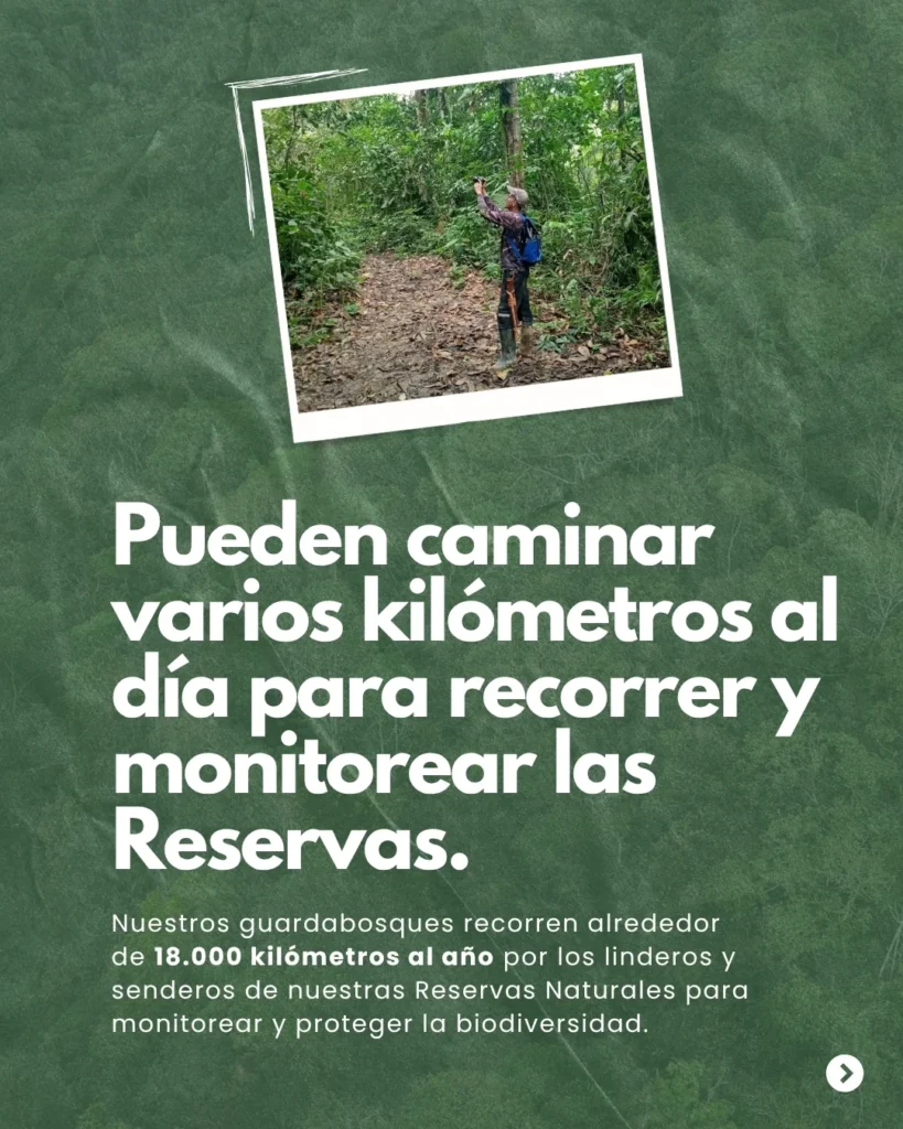 Datos que quizás no sabías (2)