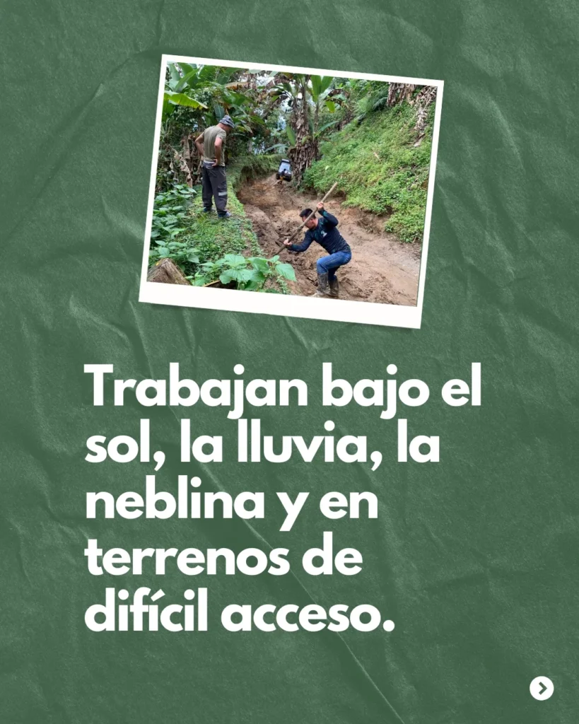 Datos que quizás no sabías (4)