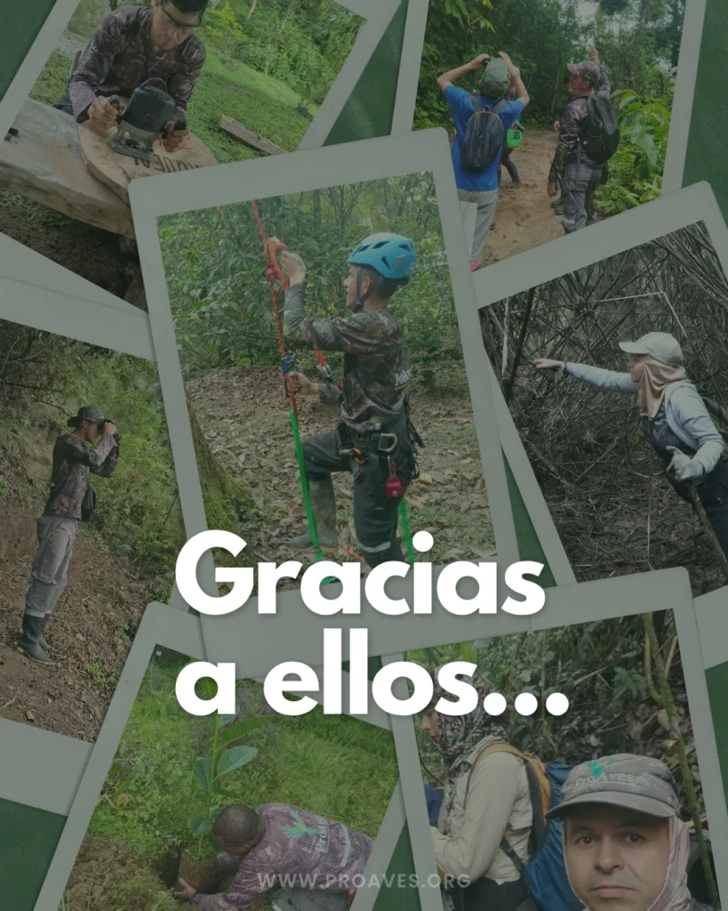 Gracias a ellos (1)