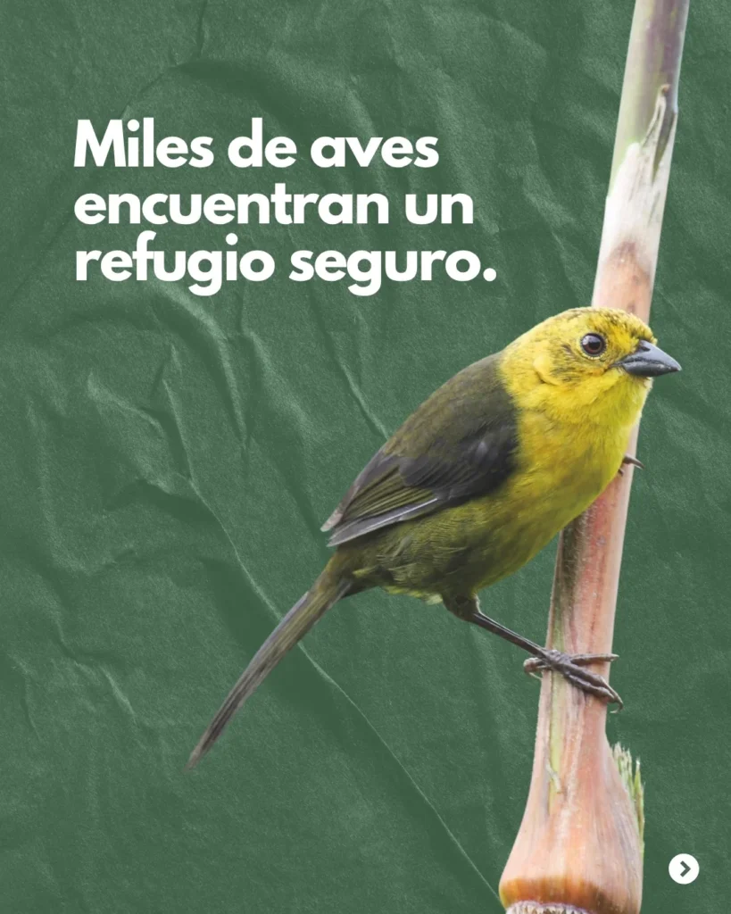 Gracias a ellos (2)