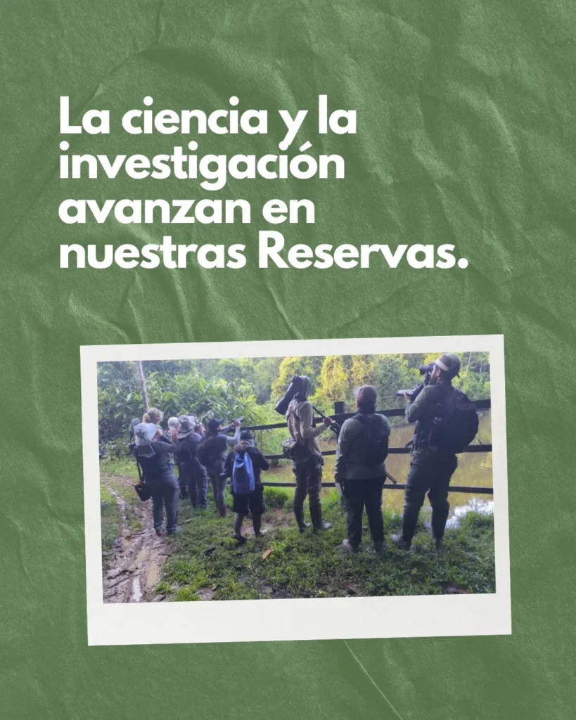 Gracias a ellos (4)