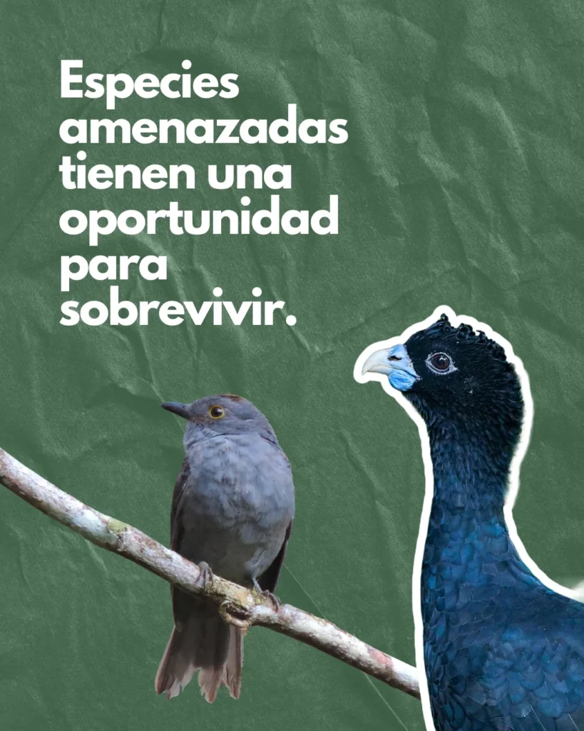 Gracias a ellos (5)