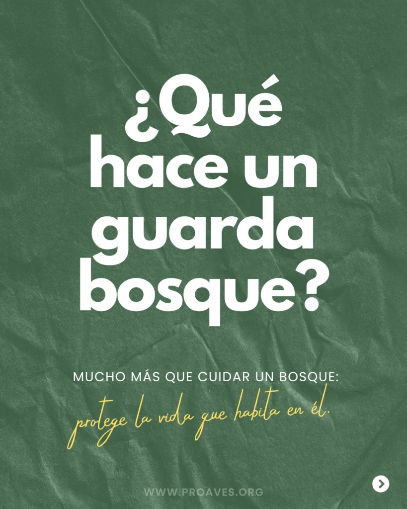 que-hace-un-guardabosque-_1_